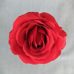 Red rose cake decoration