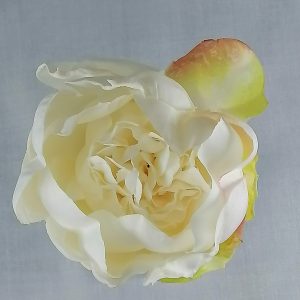 White with pink ombre peony cake decoration